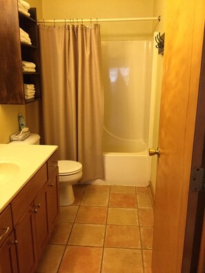 Combined shower/bathtub, hair dryer, towels