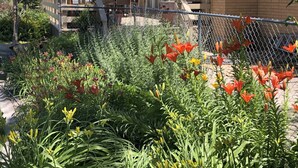 A patio area with a dining table and chairs, surrounded by a variety of plants and flowers. - Tranquil East Wing Suite Redlands Grand Junction, Colorado (Grand Junction)