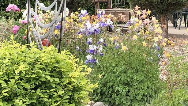 A garden with various flowers and a metal sculpture. - Tranquil East Wing Suite Redlands Grand Junction, Colorado (Grand Junction)