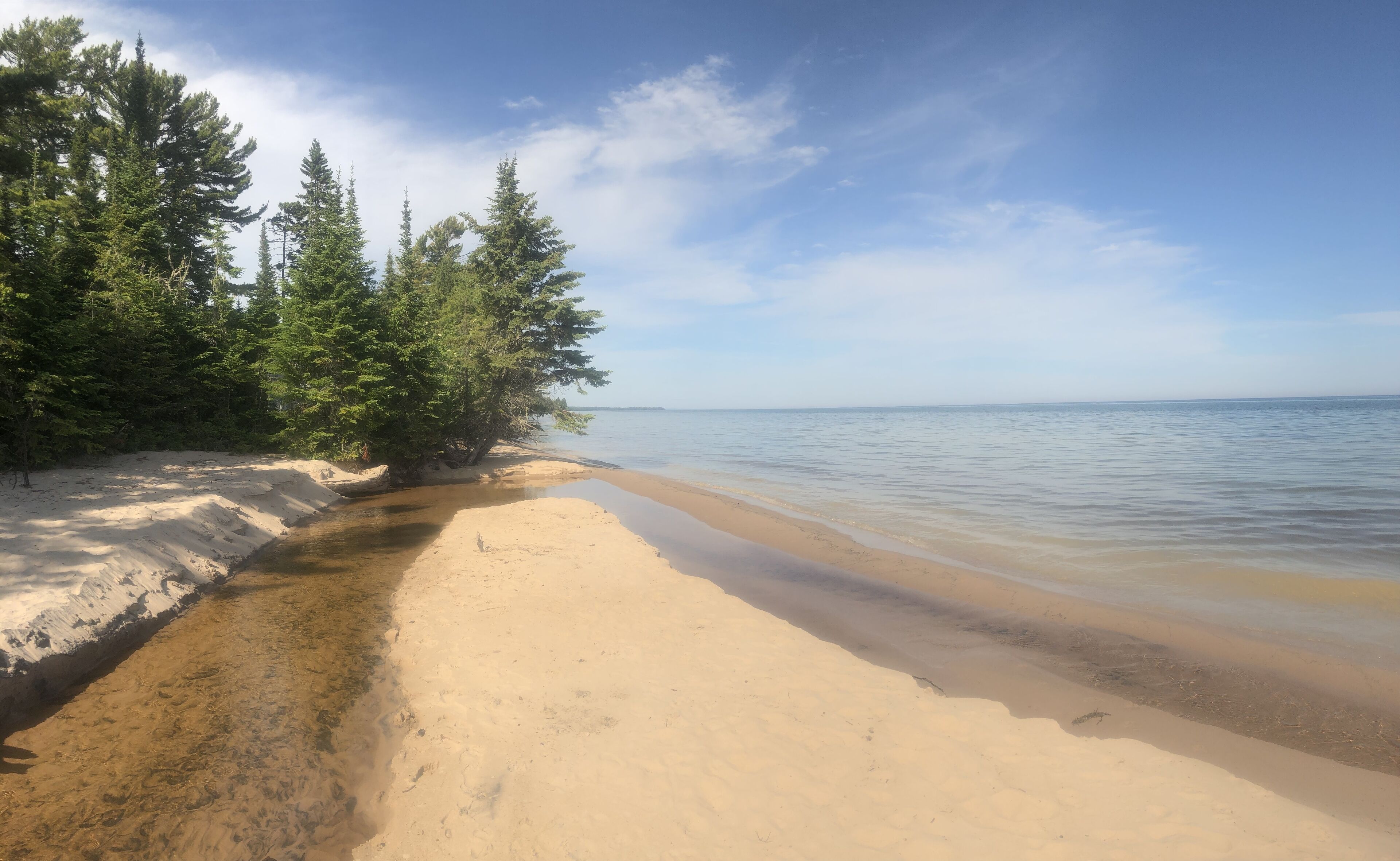 A sandy beach with trees and calm water.