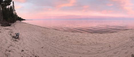A beach with footprints and a dog, surrounded by trees and a calm sea under a pink sky.