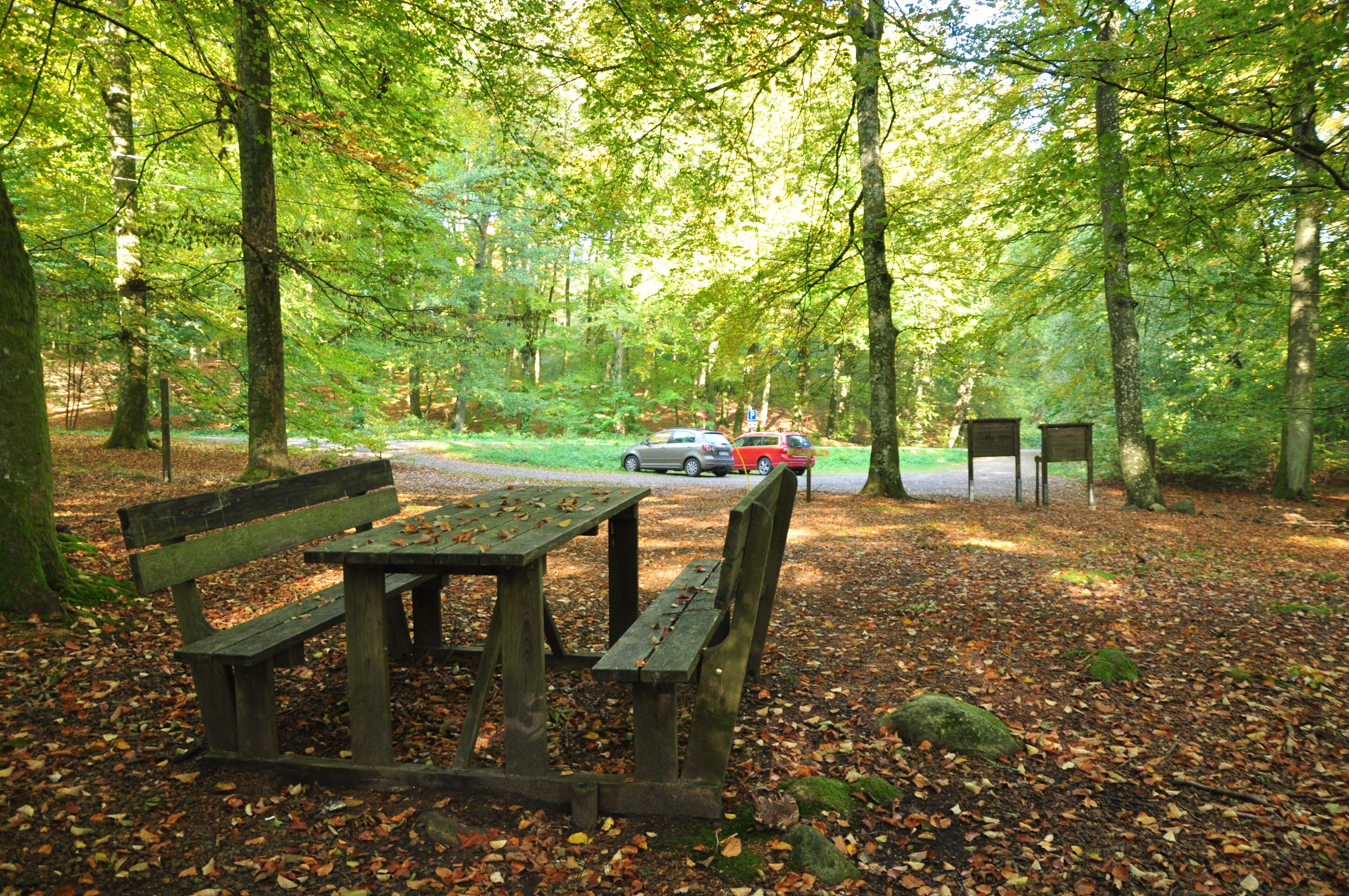 Ein Park mit Picknicktisch und Bänken, umgeben von Bäumen und einem Kiesweg.