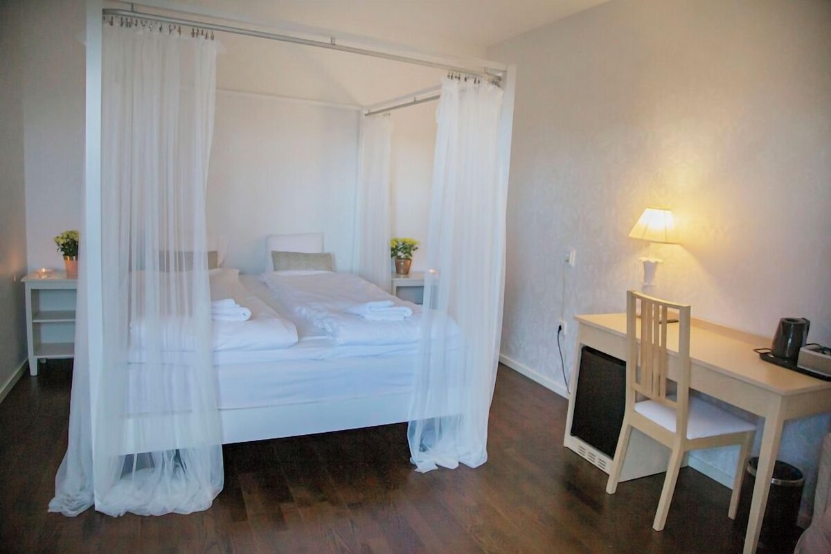 Desk, soundproofing, iron/ironing board, WiFi (free)