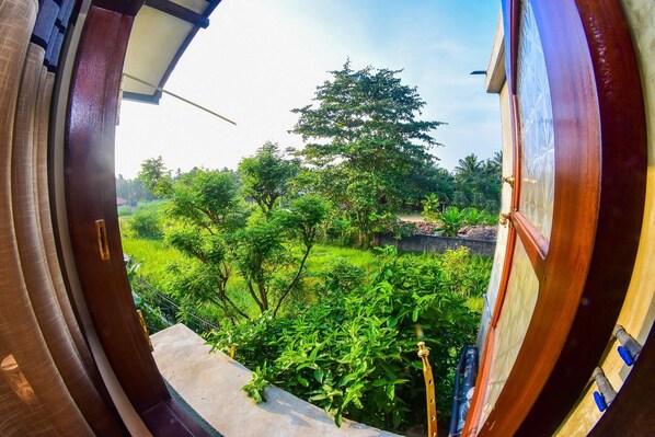 View from room - Wattle Inn (Negombo)