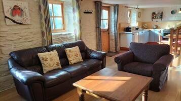 Smart TV, fireplace, DVD player, books