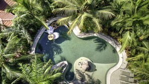 An aerial view of a landscaped area with a swimming pool, palm trees, and a small waterfall feature. - Family Oasis Minutes Walk to the Playa Guiones (Nosara)