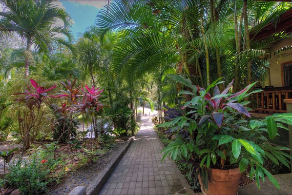 Un sendero pavimentado bordeado por exuberante vegetación tropical y un edificio con balcón de madera.