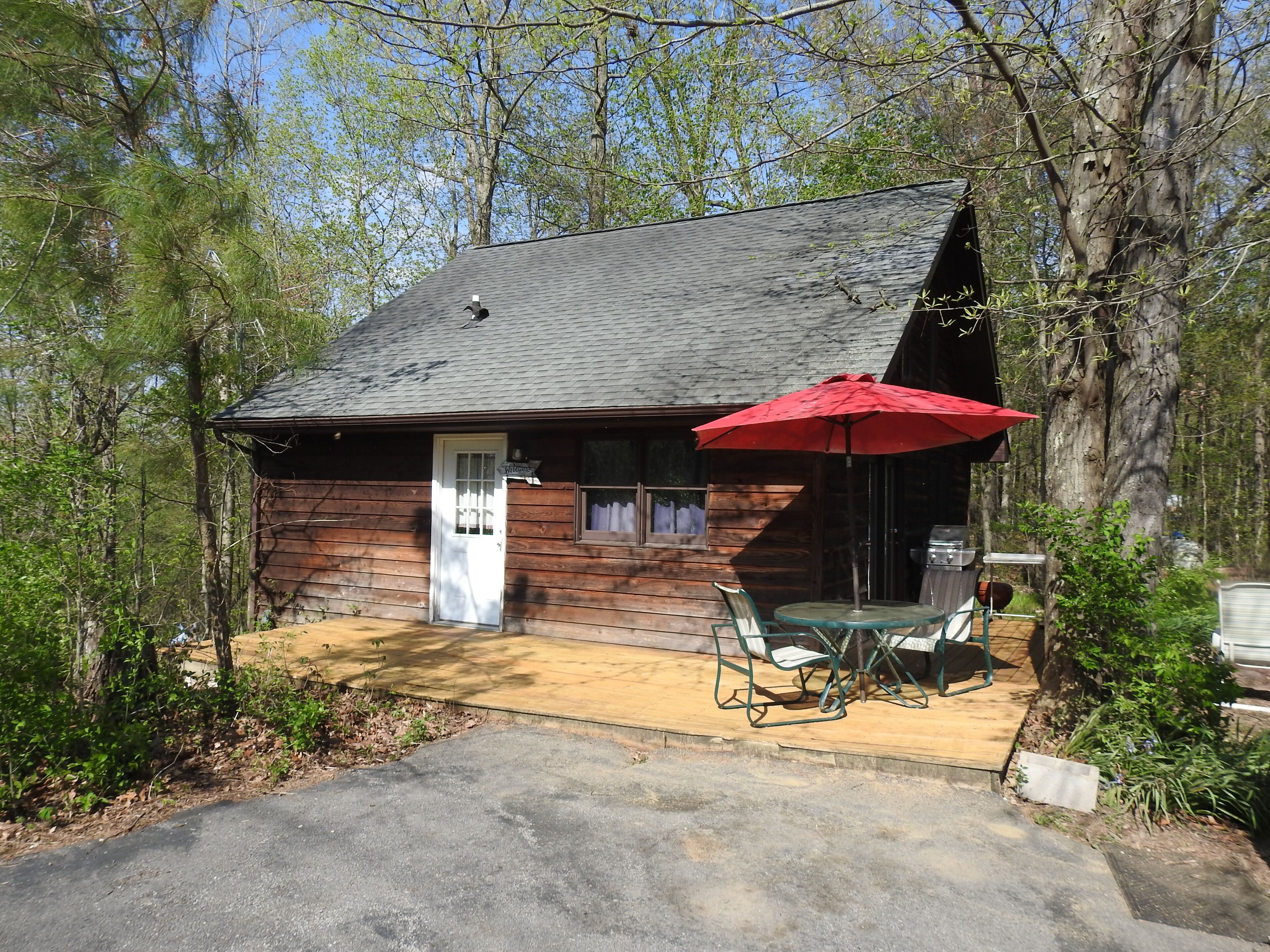 Pine Cabin on 30 Acres! 1 mi. from Carbondale, IL & SIUC Campus