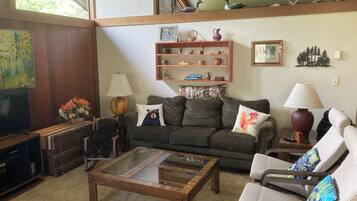 Älytelevisio, takka, DVD-soitin, kirjoja