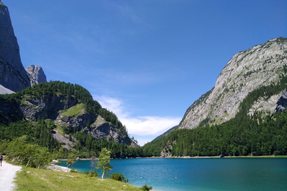 Apartment Hallstatt Dachstein Inn