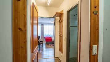 Deluxe Studio Suite, Balcony, Mountain View (Hallstatt Dachstein Inn) | Living area | 43-inch flat-screen TV with cable channels, TV, Netflix