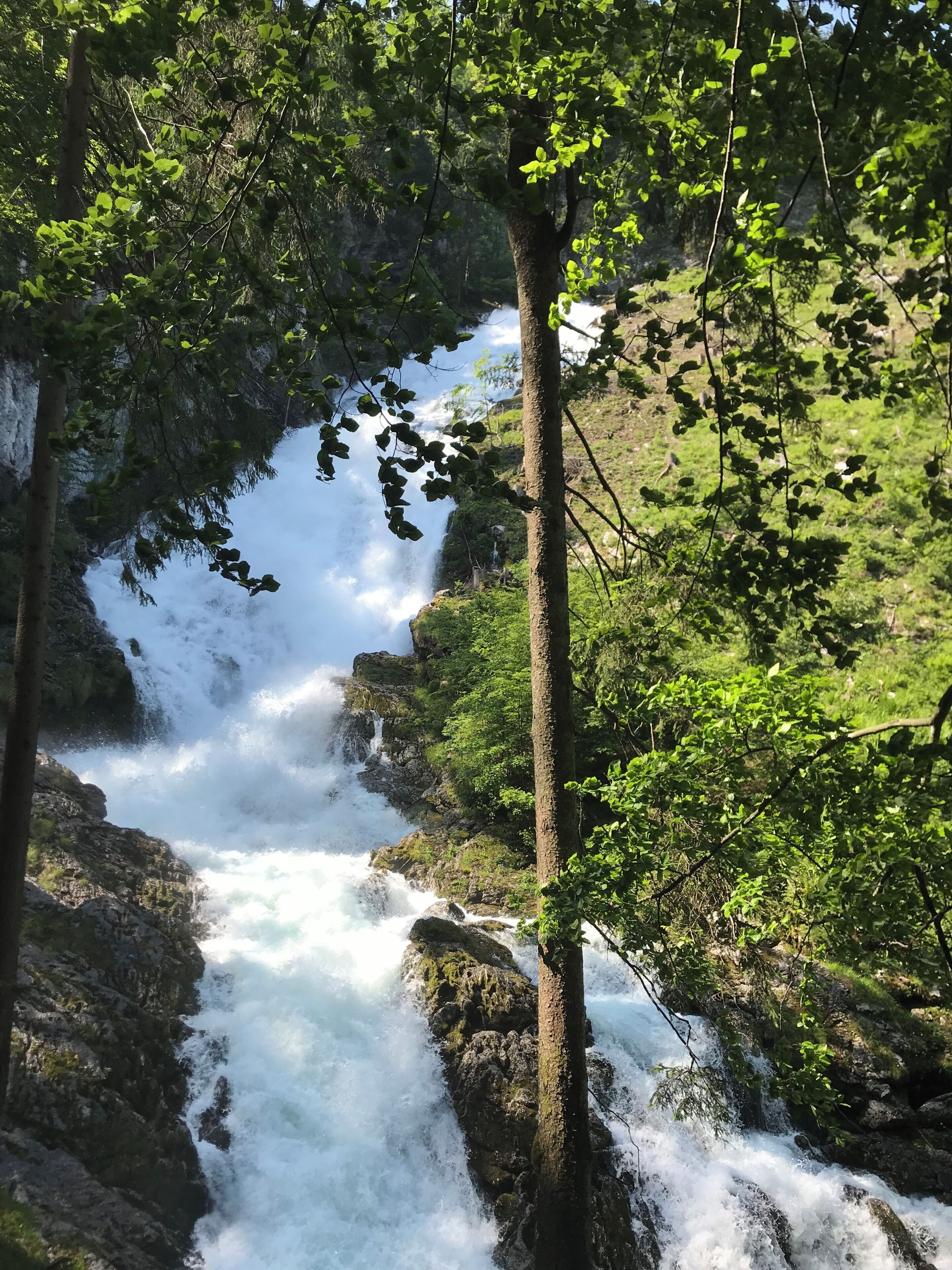 A waterfall surrounded by lush greenery.