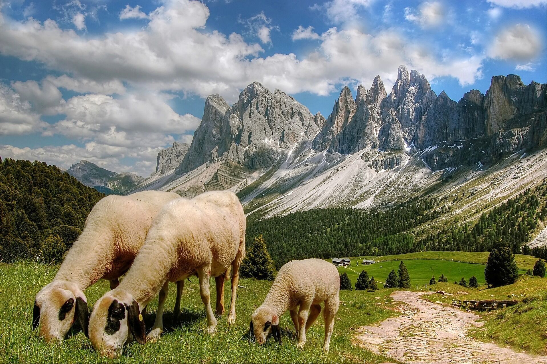 Paisaje montañoso con ovejas pastando.