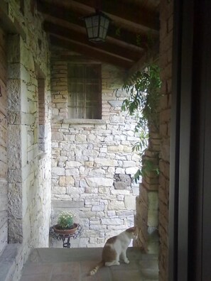 Een douche, gratis toiletartikelen, een haardroger, een bidet