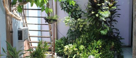 Un pequeño jardín al aire libre con plantas en macetas, una escalera de madera y una silla de plástico blanco.