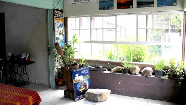 Una habitación con un ventanal grande, una cama, una mesa y varias plantas en macetas.