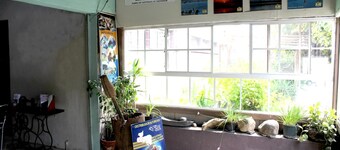 Ximena s Guest House