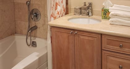 Wonderful Newly Remodeled Studio