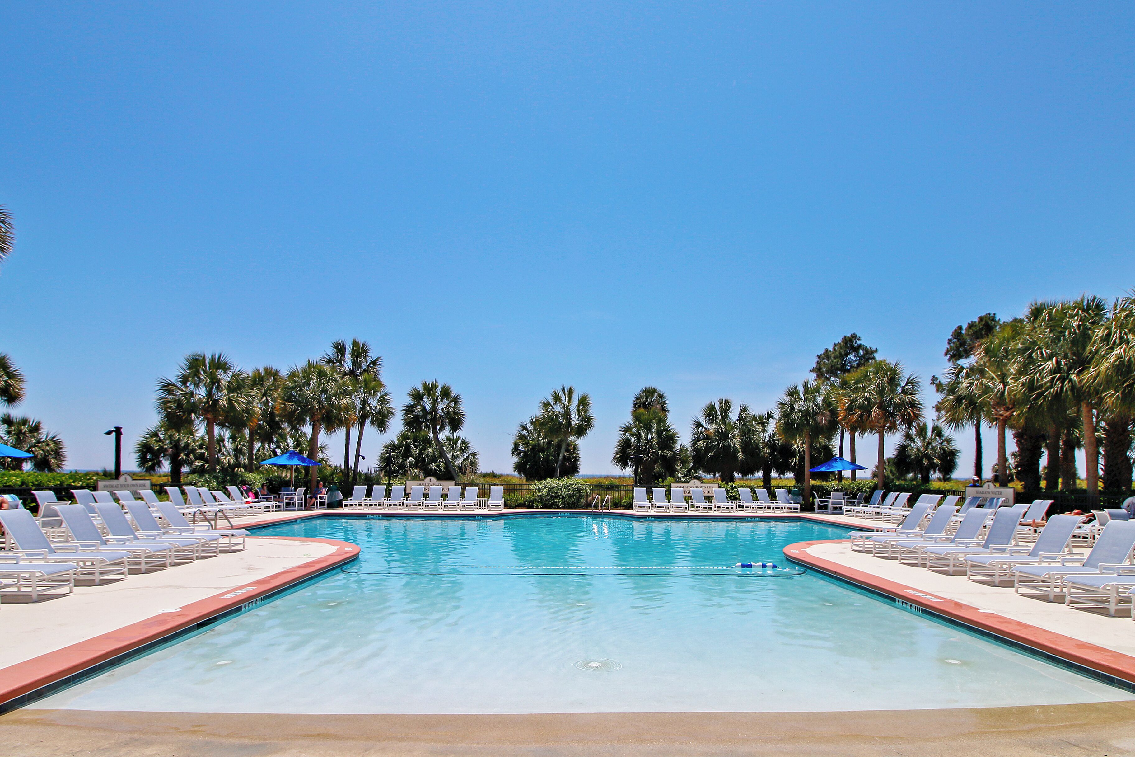 Un área de piscina con múltiples sillas de descanso y sombrillas, rodeada de palmeras.