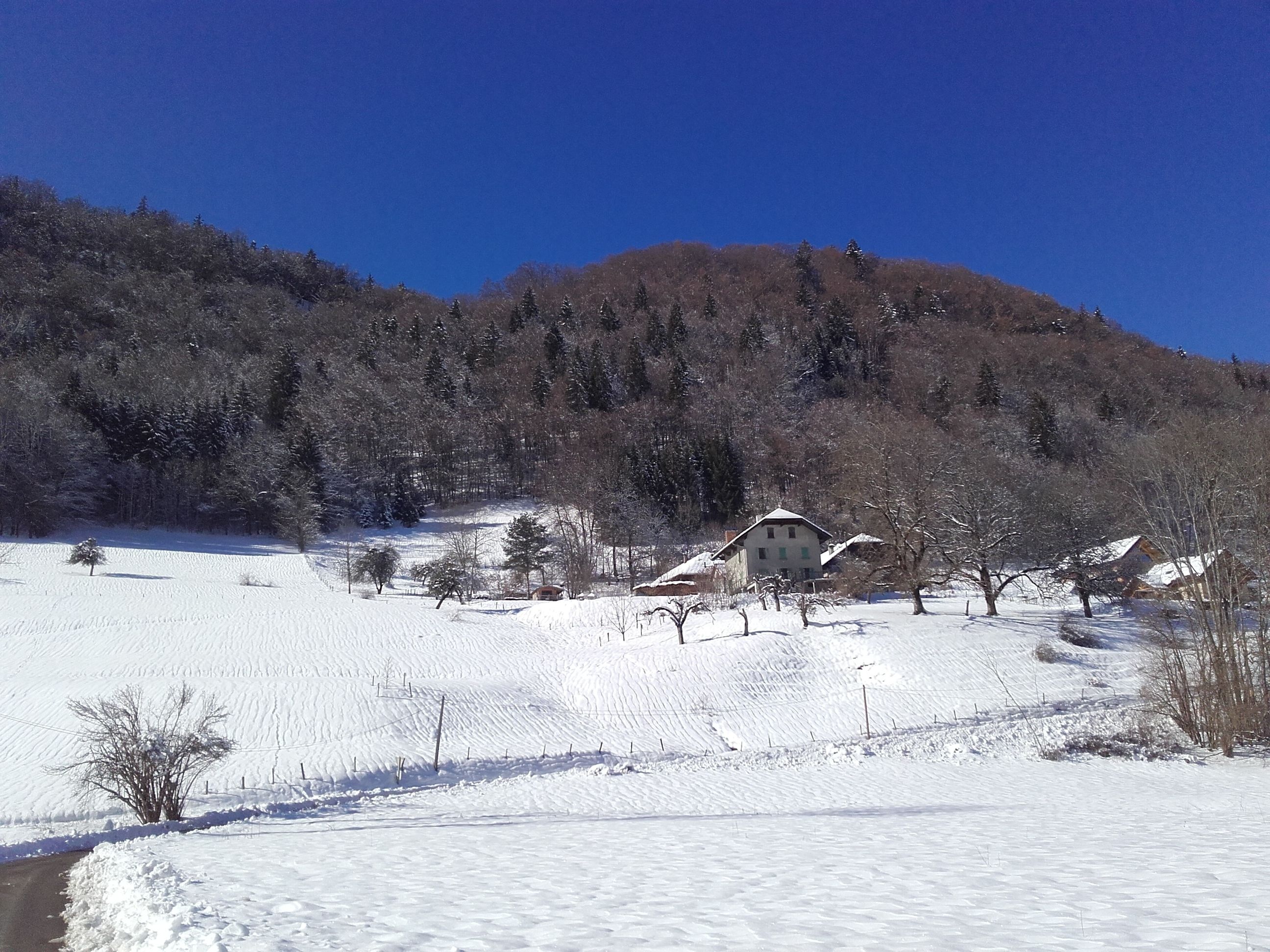 Paisaje nevado con una casa en una colina, rodeada de árboles y un cielo azul despejado.