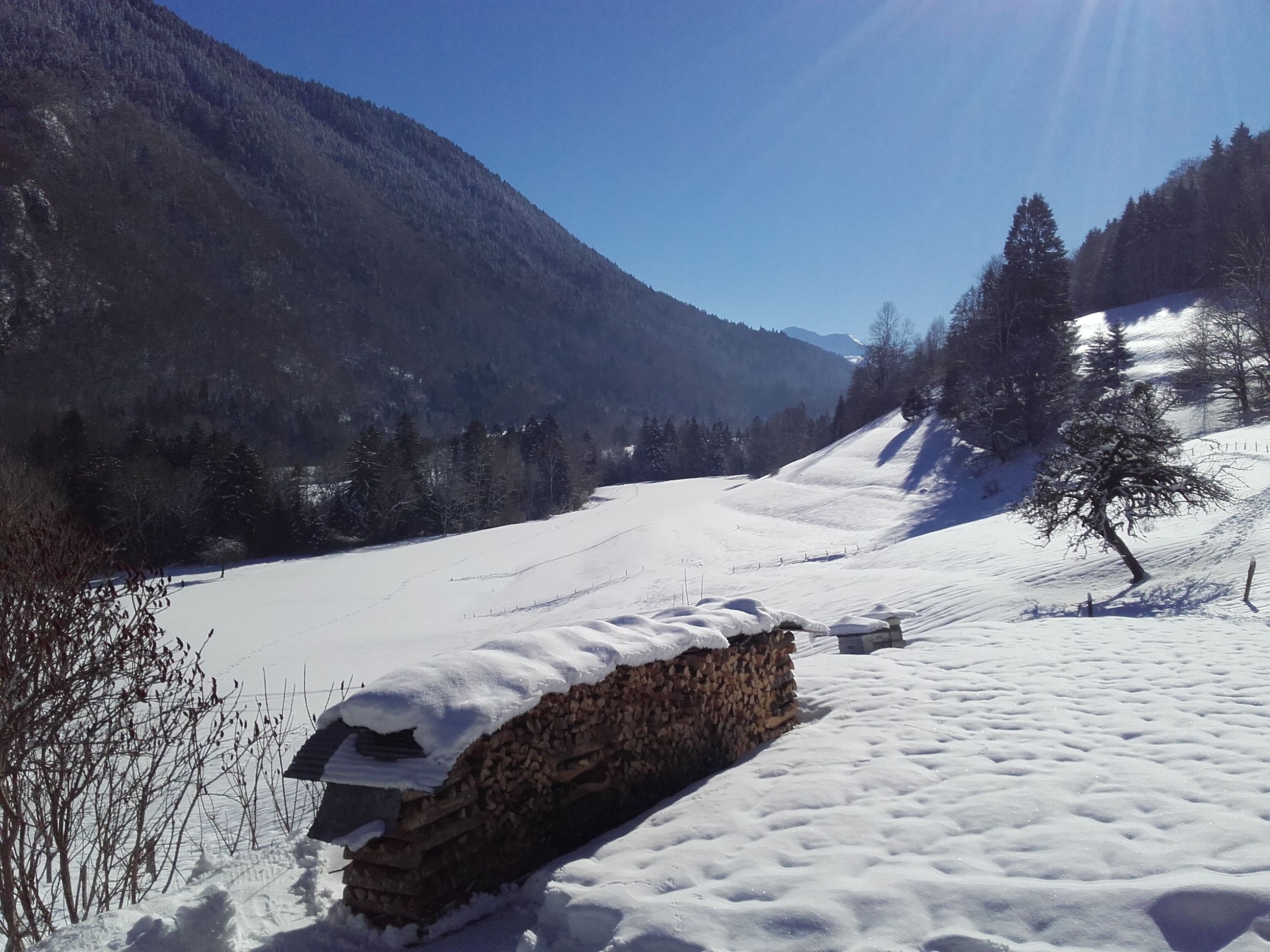 Een besneeerd landschap met een houten gebouw, waarschijnlijk een chalet, omringd door bomen en bergen.