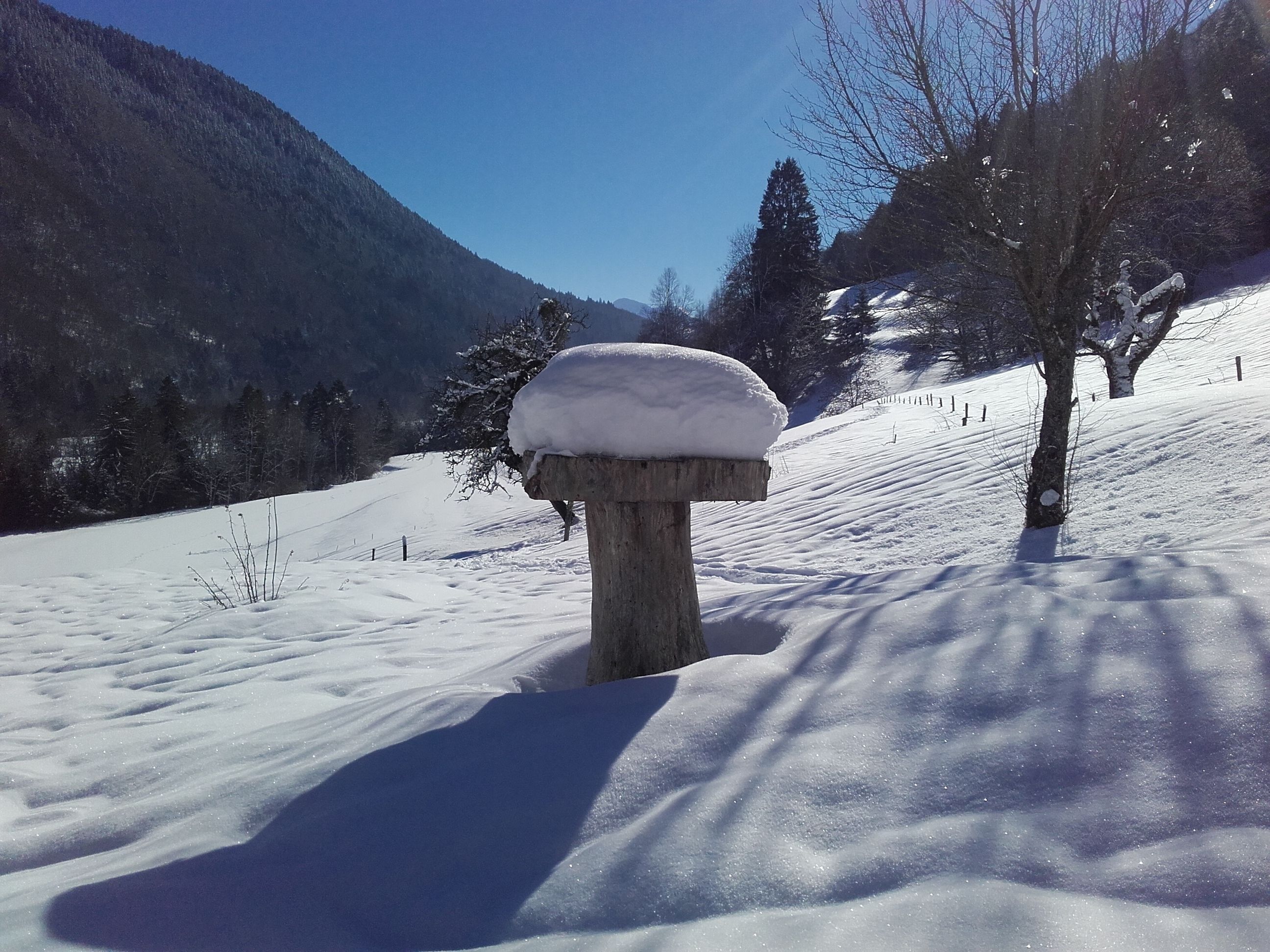 A snow-covered landscape with a wooden post and a tree in the foreground.