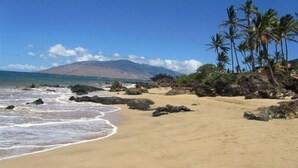 Ein Strand mit blauem Himmel, einem Berg im Hintergrund und Palmen.