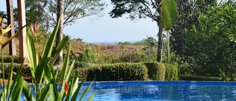 Piscine à débordement