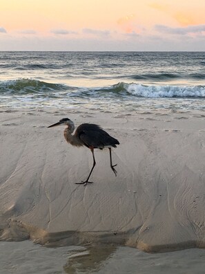 On the beach