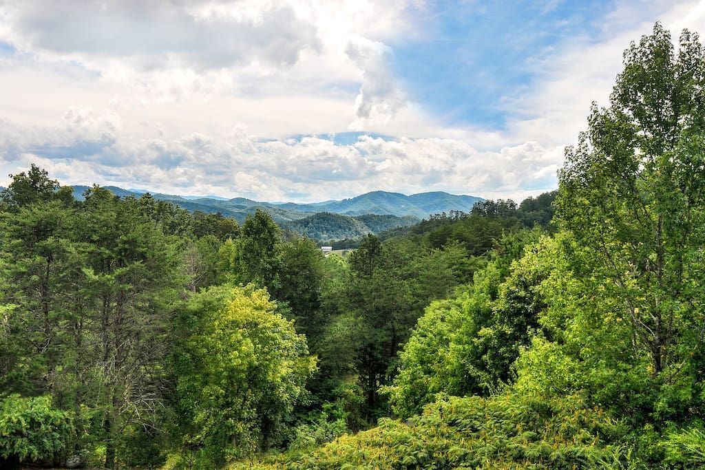 Üppige, grüne Landschaft mit dichten Bäumen und fernen Bergen unter einem bewölkten Himmel.