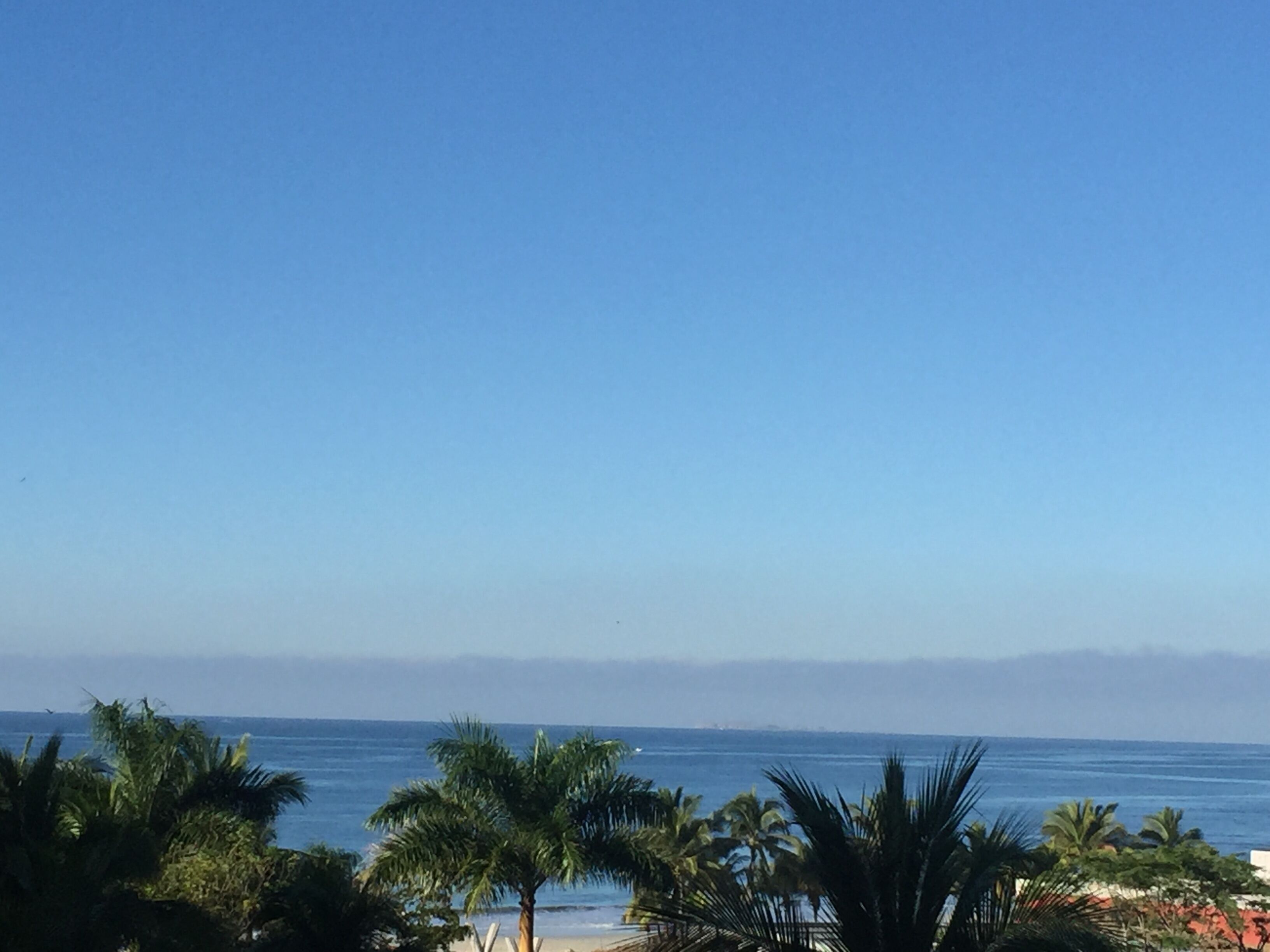 Vista de playa con palmeras y cielo despejado.