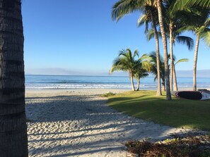 A beach with palm trees and a surfboard.