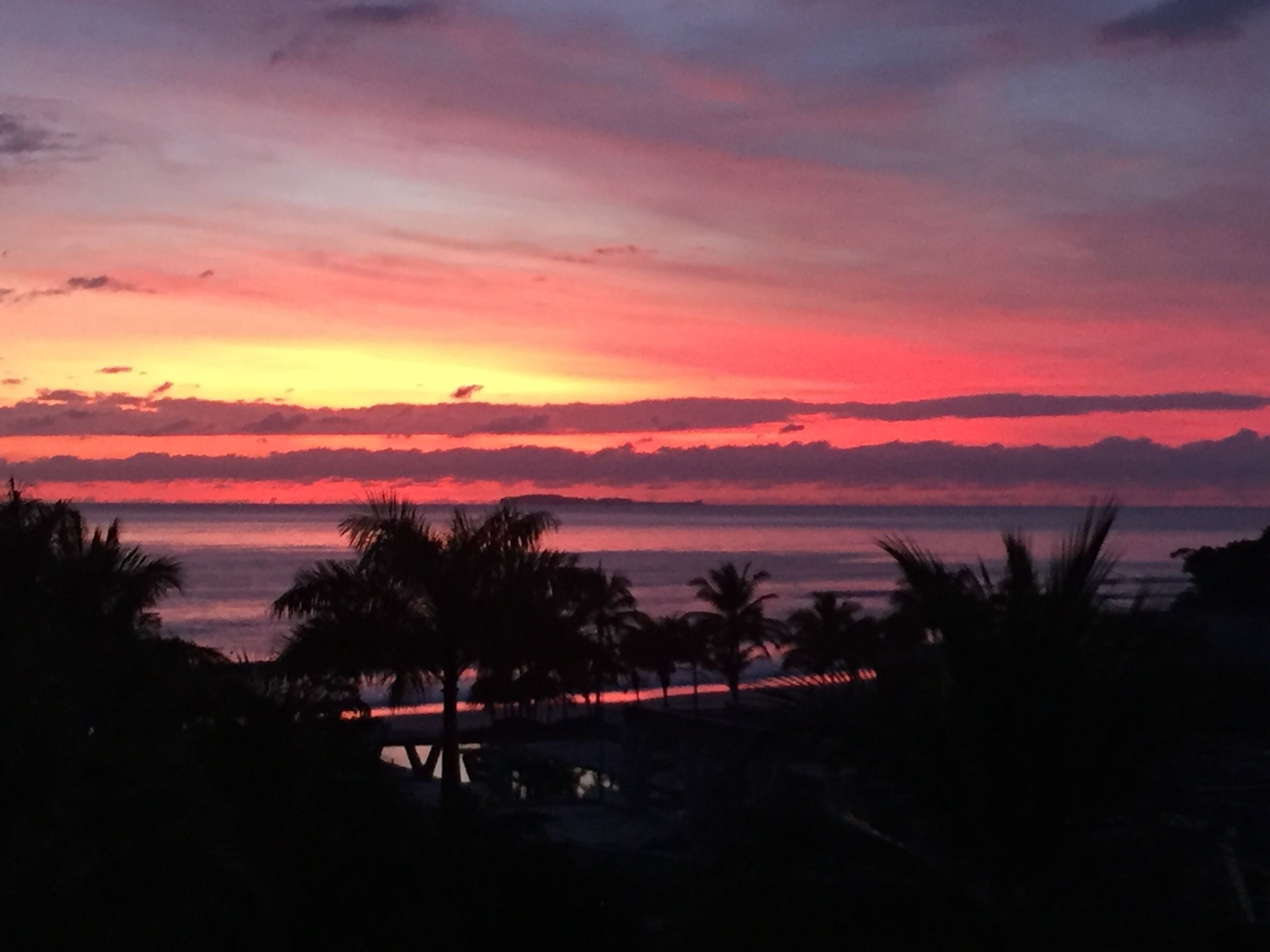 A sunset over a beach with palm trees in the foreground.