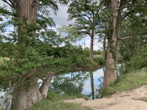Paesaggio naturale con un corpo d'acqua, alberi e un sentiero sabbioso.