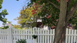 Dos sillas Adirondack en un jardín con cerca de piquetes blancos y un árbol con flores rojas.