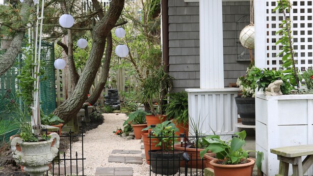 Un jardin agrémenté de plantes en pot, une clôture blanche et un chemin.