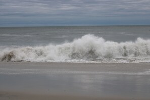 On the beach -  Oceanfront Cottage Private Secluded Dog Friendly at Colvmns by the Sea   (Cape May)