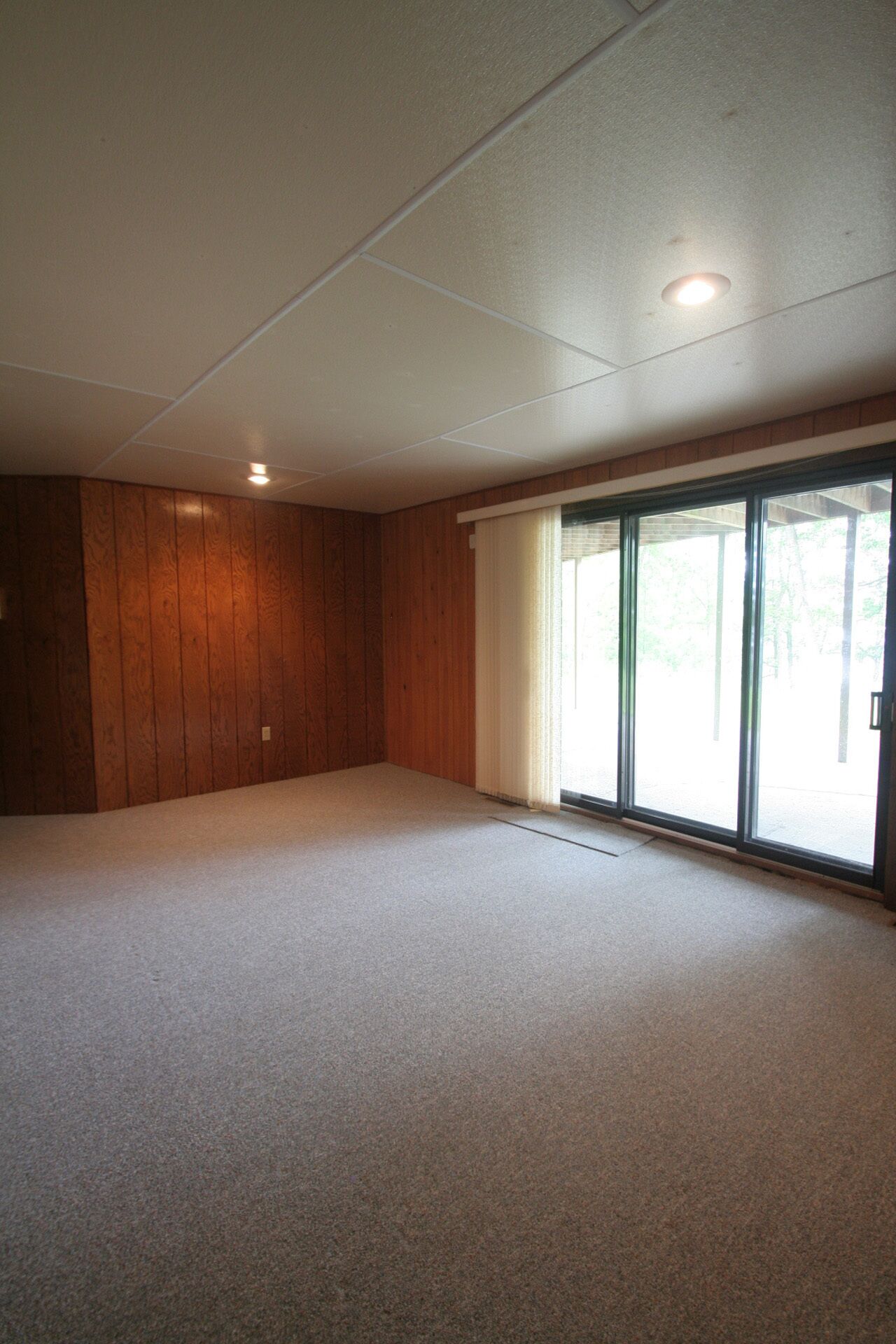 Walkout basement with sliding glass doors, now with ping pong table and pac man!