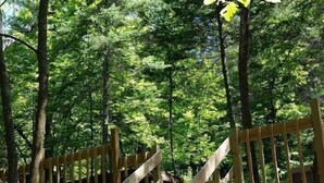 A wooden staircase in a forested area with a wooden railing.