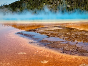 Un área geotérmica con agua rica en minerales, vapor y un bosque de fondo.