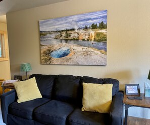 TV, DVD player, books