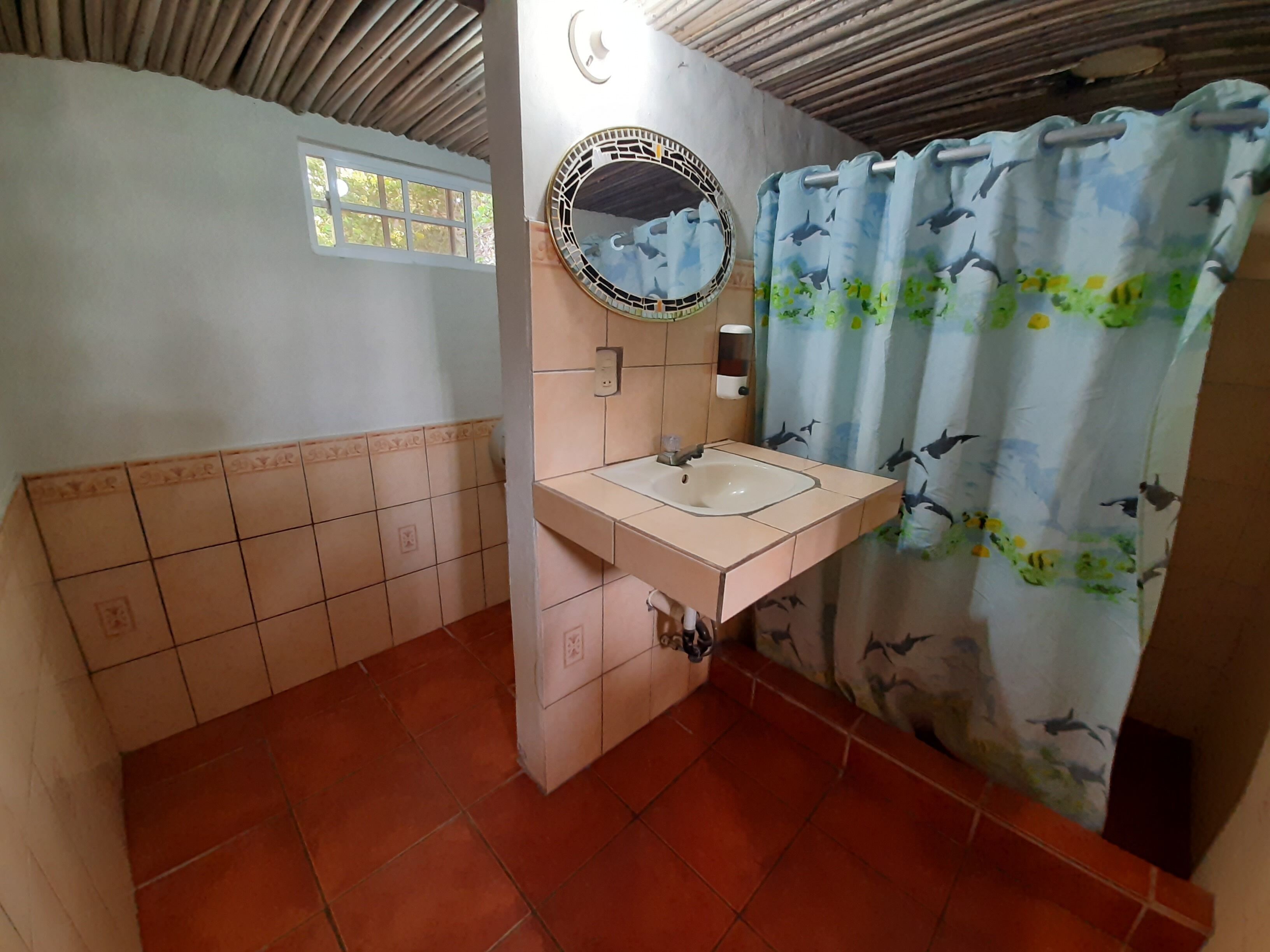 A bathroom with a sink, mirror, and shower curtain.