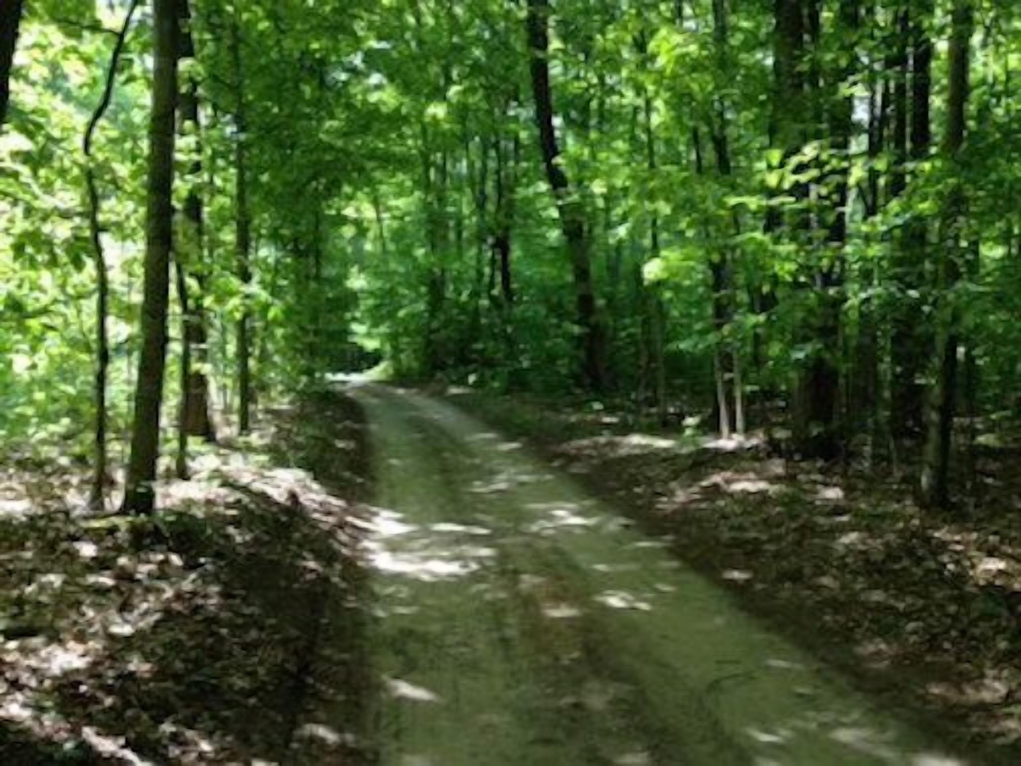 11 Best PetFriendly Cabin Rentals Near Mackinaw City, Michigan