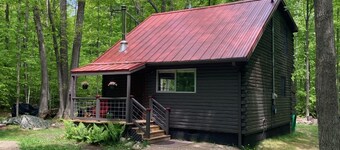 Northern Bliss Cabin near Wilderness State Park & Mackinaw