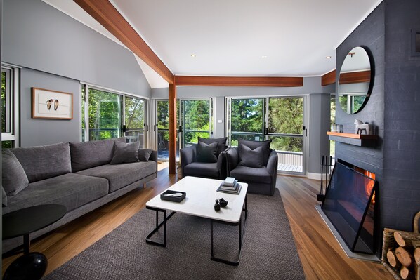 Smart TV, chimenea, Netflix y libros 