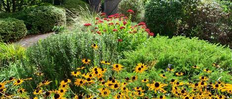 Terrain de lâhĂ©bergement