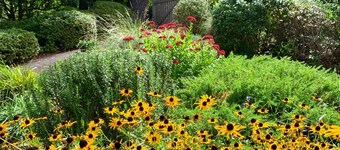 Maple View Medlow Bath (Blue Mountains)