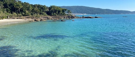 Plage à proximité