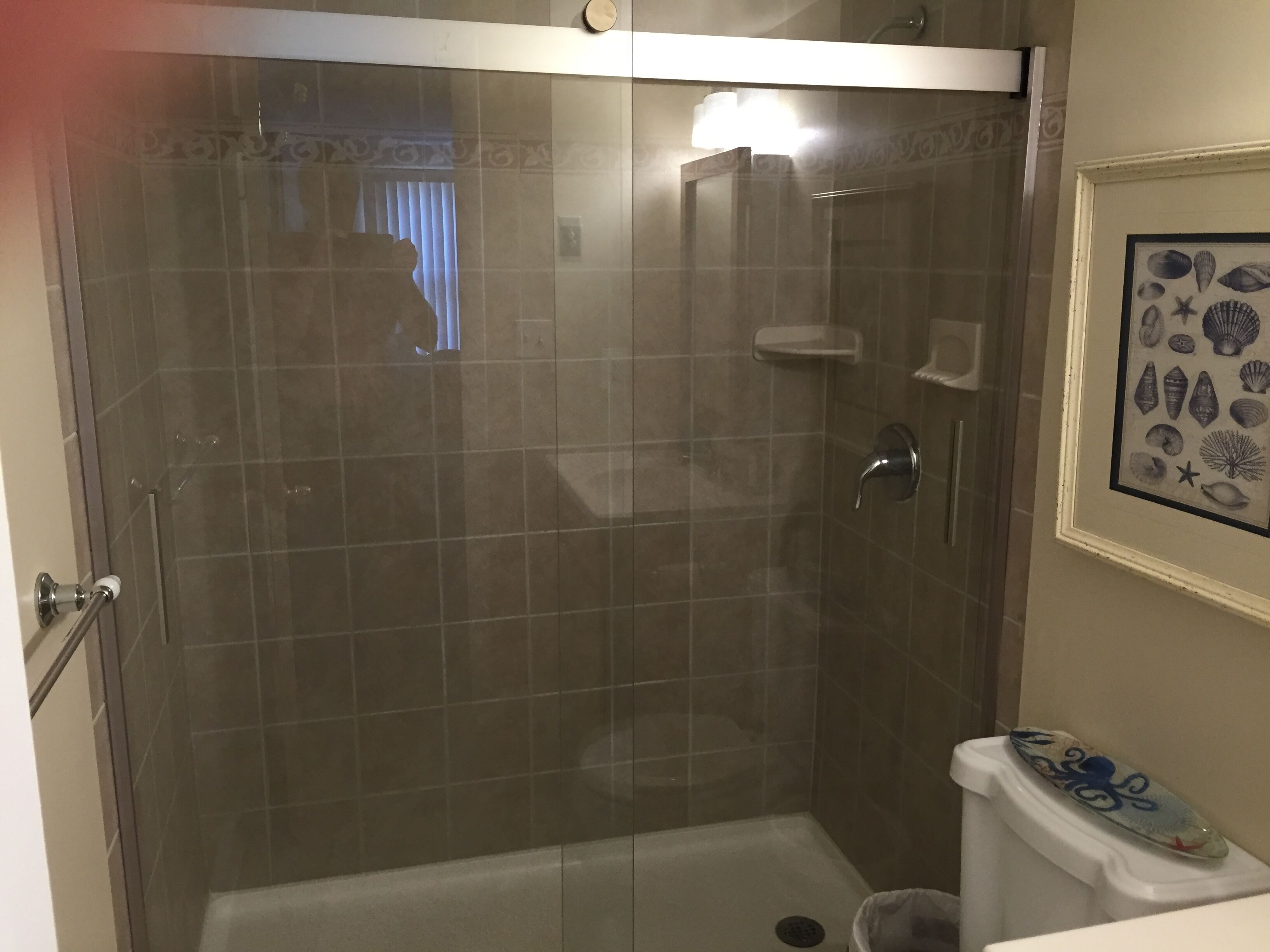 A glass-enclosed shower stall with a toilet and a framed picture of seashells on the wall.