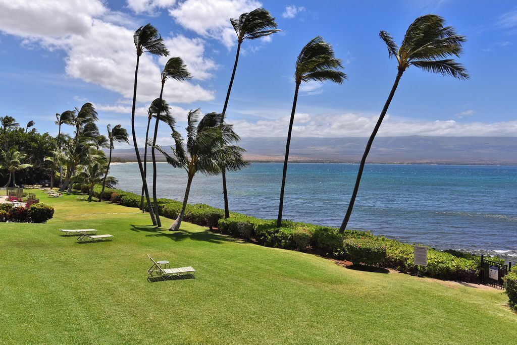 A well-maintained lawn with a few lounge chairs, palm trees, and a view of the ocean.